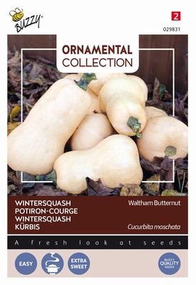 Pompoen Wintersquash Waltham Butternut