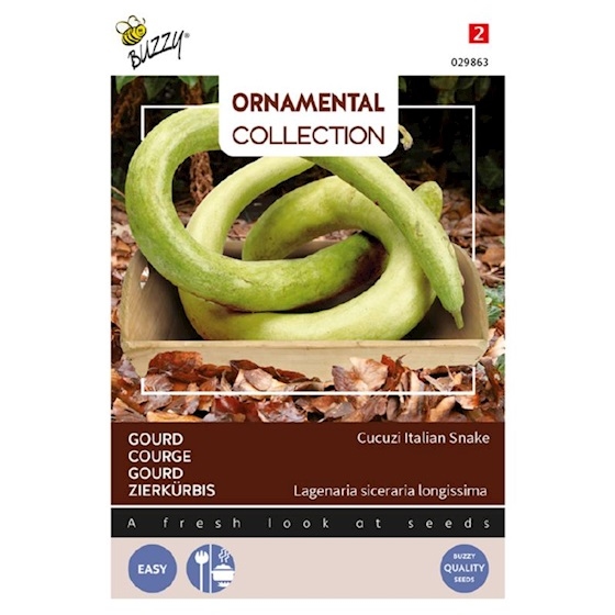 Pompoen Gourd Italian Edible/Cucuzi    (pompoenachtige)