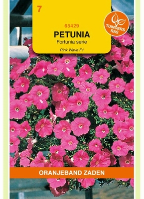 Petunia pendula Pink Wave F1 hybride gem. HANGEND