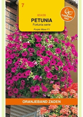 Petunia pendula Purple Wave F1 hybride gem. HANGEND