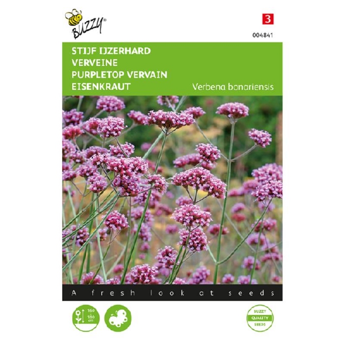 Verbena bonariensis