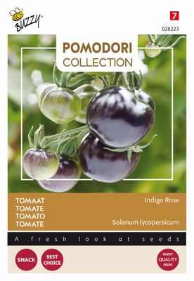 Tomaat - Pomodori Tomaten Indigo rose (blauw/zwart)  NIEUW