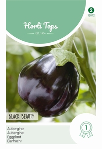 Aubergine Black Beauty    NIEUW