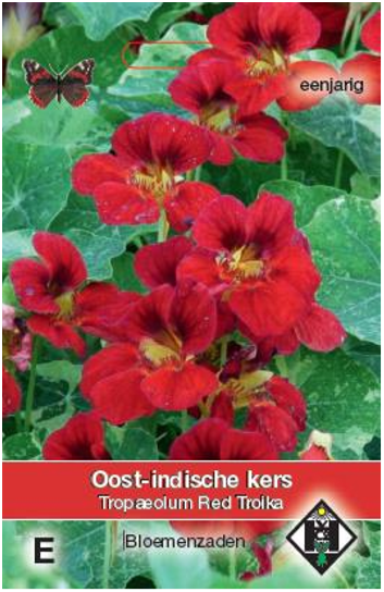 Tropaeolum m. Red Troika