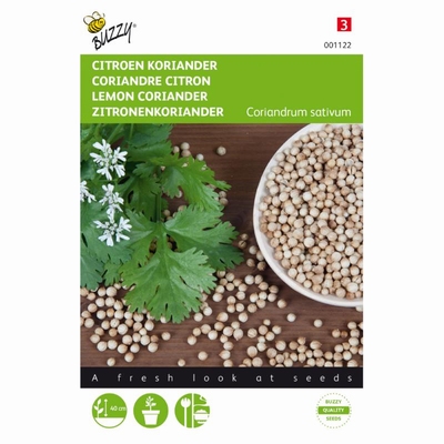 Koriander Coreandrum sativum Citroen Koreander    NIEUW