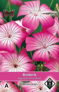 Agrostemma githago Milas - Bolderik