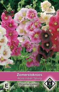 Althaea (Alcea), Stokroos Alcea rosea Indian Spring