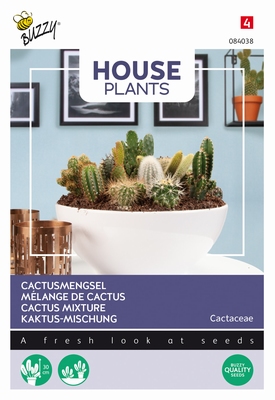 Cactus Mengsel van vele soorten, Ferocactus wislizeni