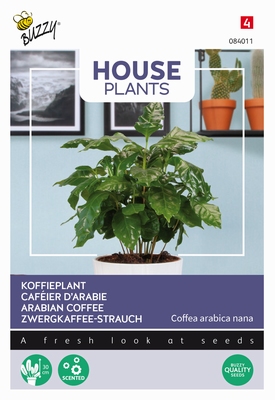 Coffea Arabica, Koffieplant   kamerplant