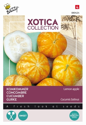 Komkommer Lemon Apple  - cucumus sativus