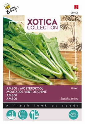 Amsoi Mung Choi  (groen)