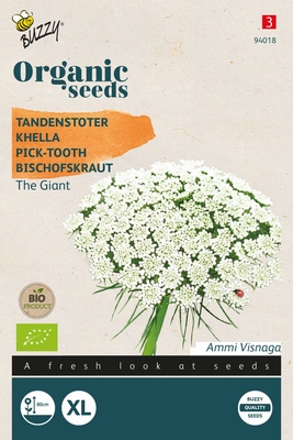 Bio Organic Ammi Visnagia The Giant  ( Tandenstoter )  NIEUW