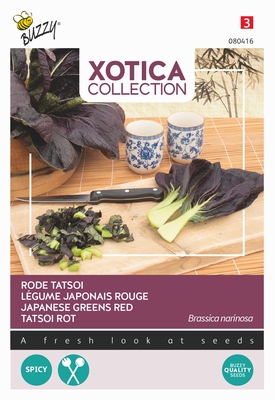 Tatsoi,  Rode Tatsoi (Paarsrood)