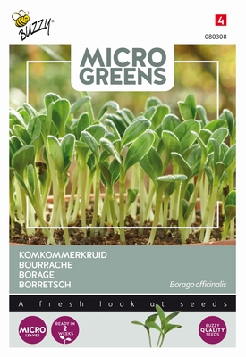 Microgreens Borage komkommerkruid   NIEUW