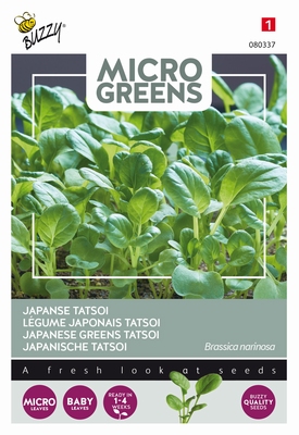 Microgreens Tatsoi  japanse tatsoi    NIEUW