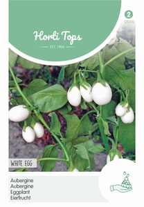 Aubergine,  White Egg    NIEUW