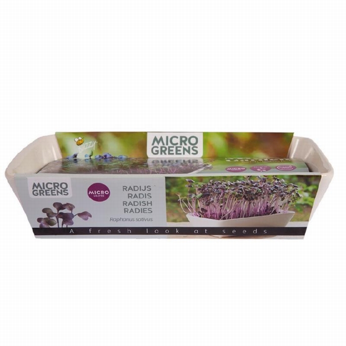 Kiemgroente schaal, Microgreens Micro Garden, Daikon Radijs