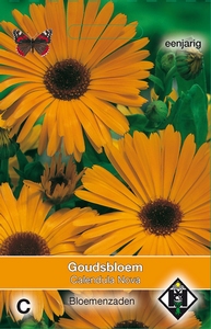 Calendula officinalis Nova  - Goudsbloem  60cm