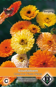 Calendula officinalis Fiesta Gitana  - Goudsbloem  25-30cm