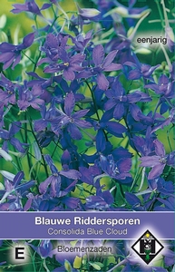 Consolida regalis Blue Cloud - Ridderspoor