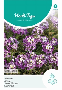 Alyssum maritimum, Royal Carpet