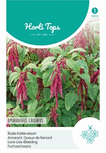 Amaranthus, Rode Kattenstaart