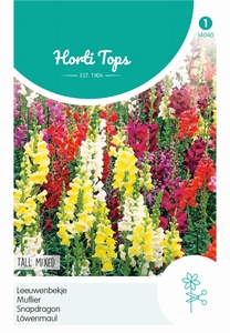 Antirrhinum, Leeuwenbekje hoog gemengd  80cm