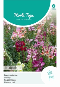 Antirrhinum, Leeuwenbekje Tetraploide gemengd