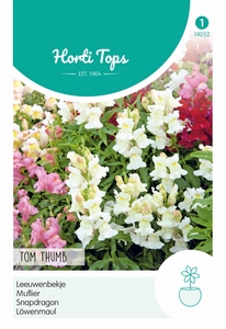 Antirrhinum, Leeuwenbekje Tom Thumb gemengd