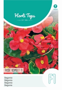 Begonia semperflorens, F1 Rode Komeet