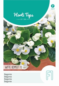 Begonia semperflorens, F1 Witte Komeet    (OP =OP)