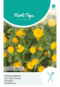 Calendula, Akkergoudsbloem  - Goudsbloem