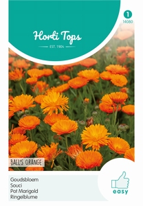 Calendula, Goudsbloem Ball's Oranje dubbelbloemig 60 cm