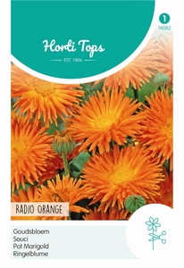 Calendula, Goudsbloem Radio Orange