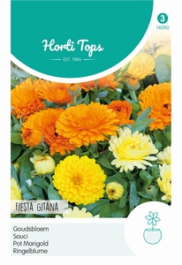 Calendula, Goudsbloem Fiesta Gitana gemengd 30 cm