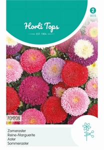 Callistephus, Zomeraster Pompon gemengd 50cm