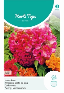Celosia, Hanenkam Dwarf gemengd laagblijvend
