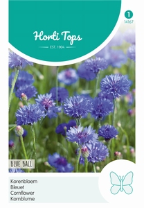 Centaurea, Korenbloem Blue Ball