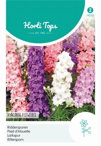 Delphinium, Ridderspoor Hyacinthbloemig gemengd