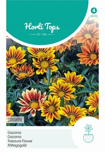 Gazania Sunshine gemengd