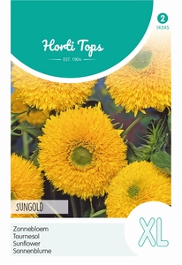 Helianthus, Zonnebloemen Sungold dubbelbloemig hoog  180cm