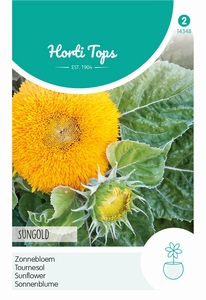 Helianthus, Zonnebloem Sungold dubbelbloemig laag