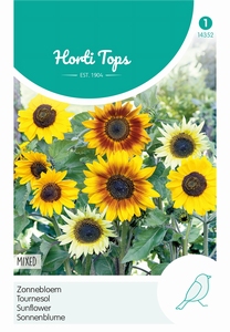 Helianthus, Zonnebloem gemengd