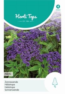 Heliotropium, Zonnewende Marine blauw