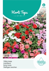 Impatiens, Vlijtig Liesje Safari F2 gemengd