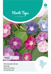 Ipomoea, Klimmende Winde gemengd