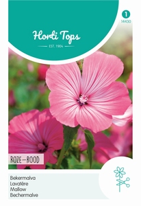 Lavatera, Bekermalva Rose/Rood