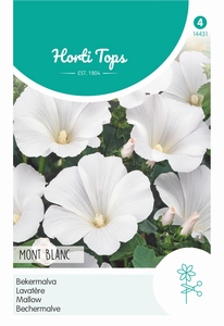 Lavatera, Bekermalva Mont Blanc