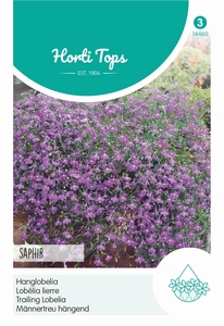 Lobelia, Hanglobelia Saphir