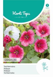 Malope, Trecermalva gemengd